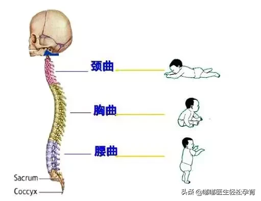 还在用定型枕给宝宝睡头型？快住手！不到这年龄不要给宝宝用枕头