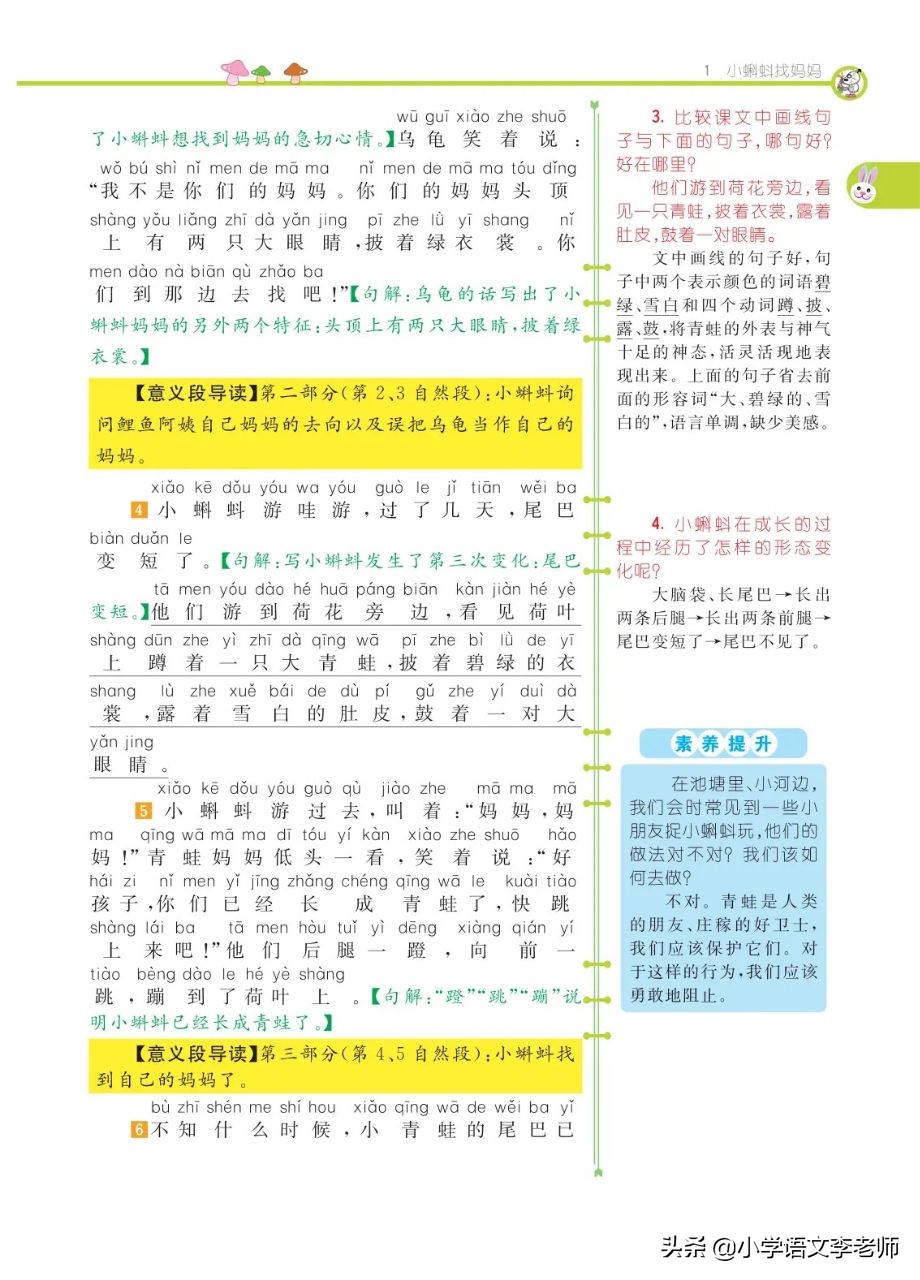 二年级语文上册《小蝌蚪找妈妈》课文解读，附课堂笔记及习题