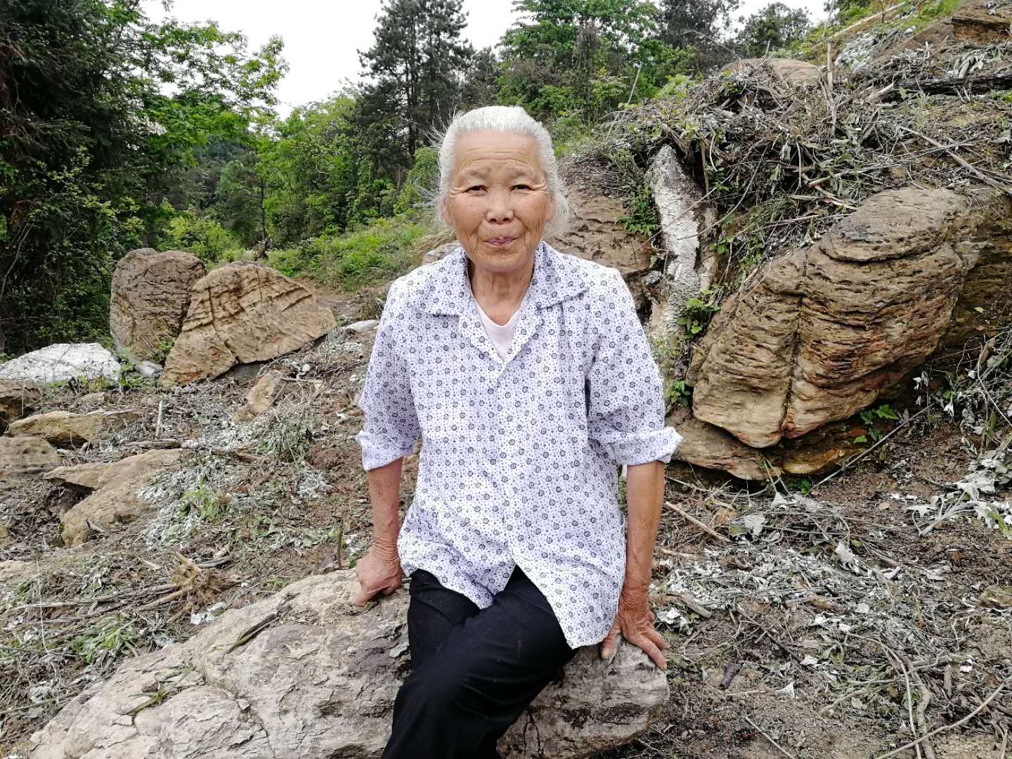 山中野草逢春绿，春风不知杨柳荫，春天的大山真的美不胜收