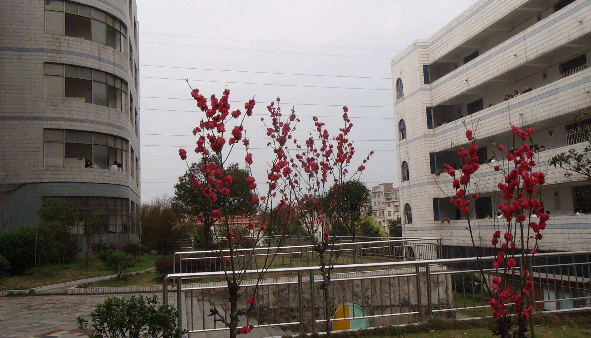 郴州5所重点好高中，考上几乎等于已迈过一本大学门槛，值得关注