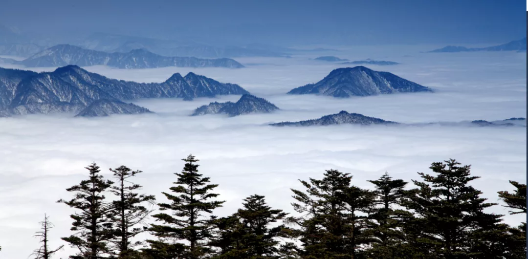 巨详细的保姆级游玩指南——峨眉山3天2夜自由行