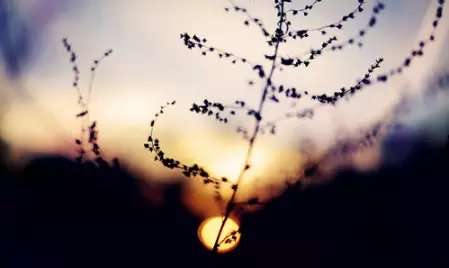 再忆｜2015上海卷高考作文题目——《我心塑我性》