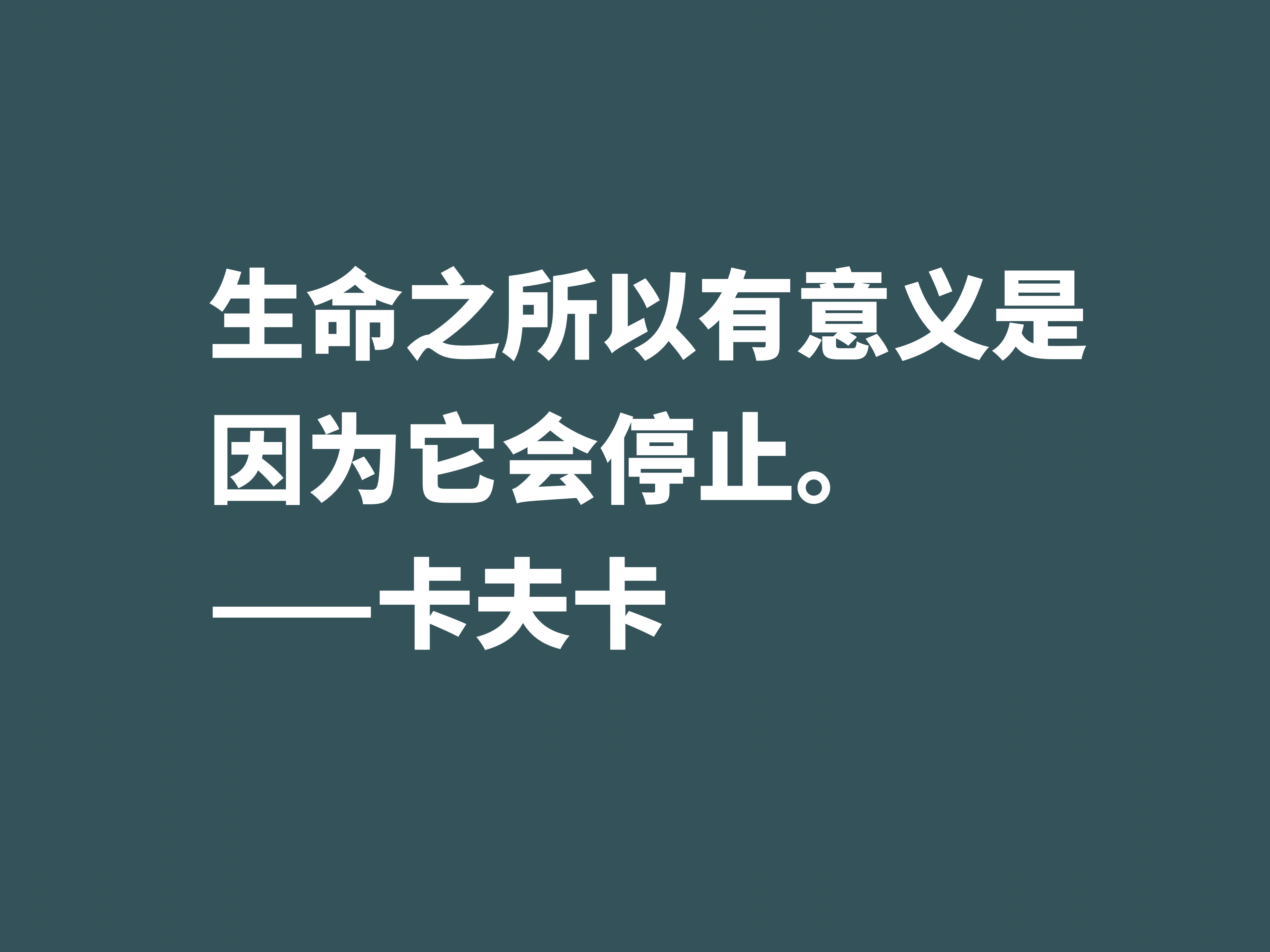 卡夫卡经典句子（欣赏卡夫卡十句格言走进作家的精神世界）