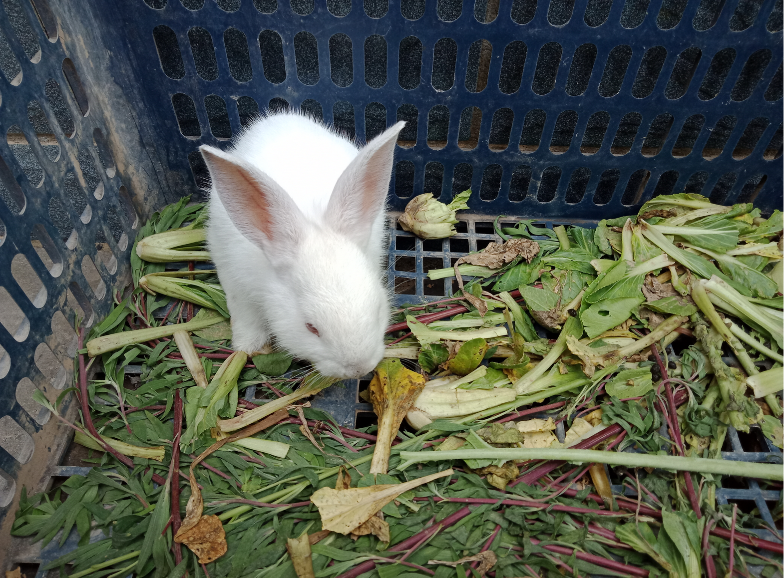 庆阳19岁女孩被班主任猥亵跳楼自杀：班主任二审获刑两年当庭翻供，48岁父亲彻底垮掉