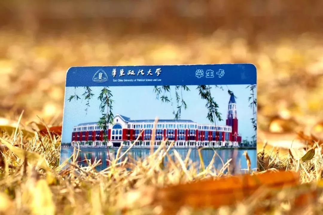 华东地区的法学扛把子——华东政法大学