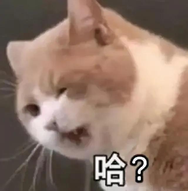 短期租房,短期租房一个月