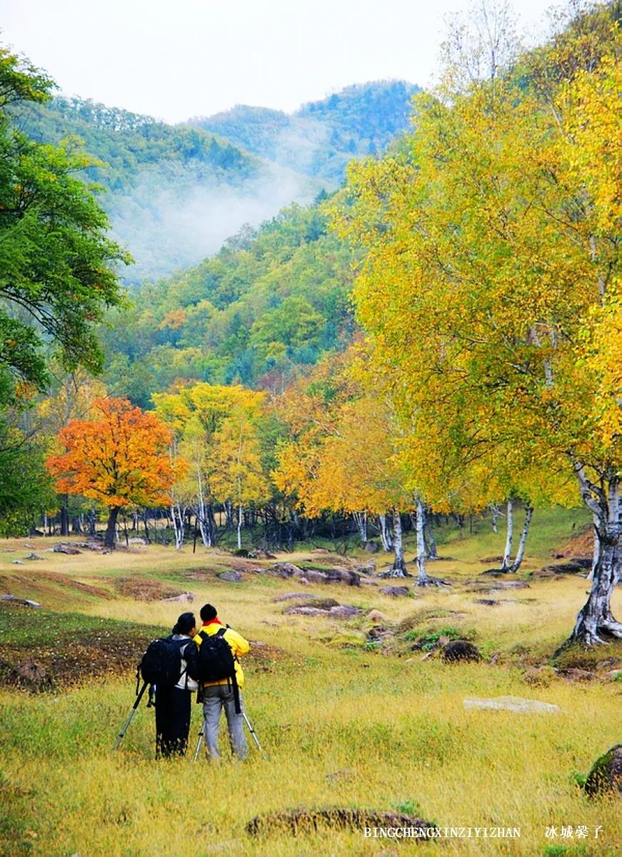 哈尔滨、黑龙江被雪藏起来的秋色什么样？100张图片让你饱览