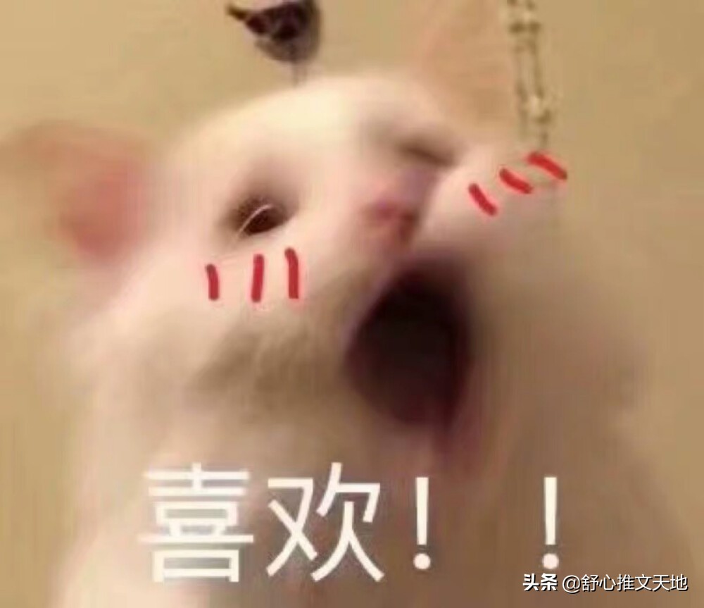 男主美强惨小说：偏执病娇占有欲强，救赎甜虐系，晋江高收藏红文