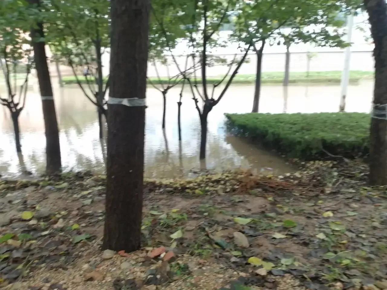 2021113յھŷݹܽ᣺Բݲ׼ʵ