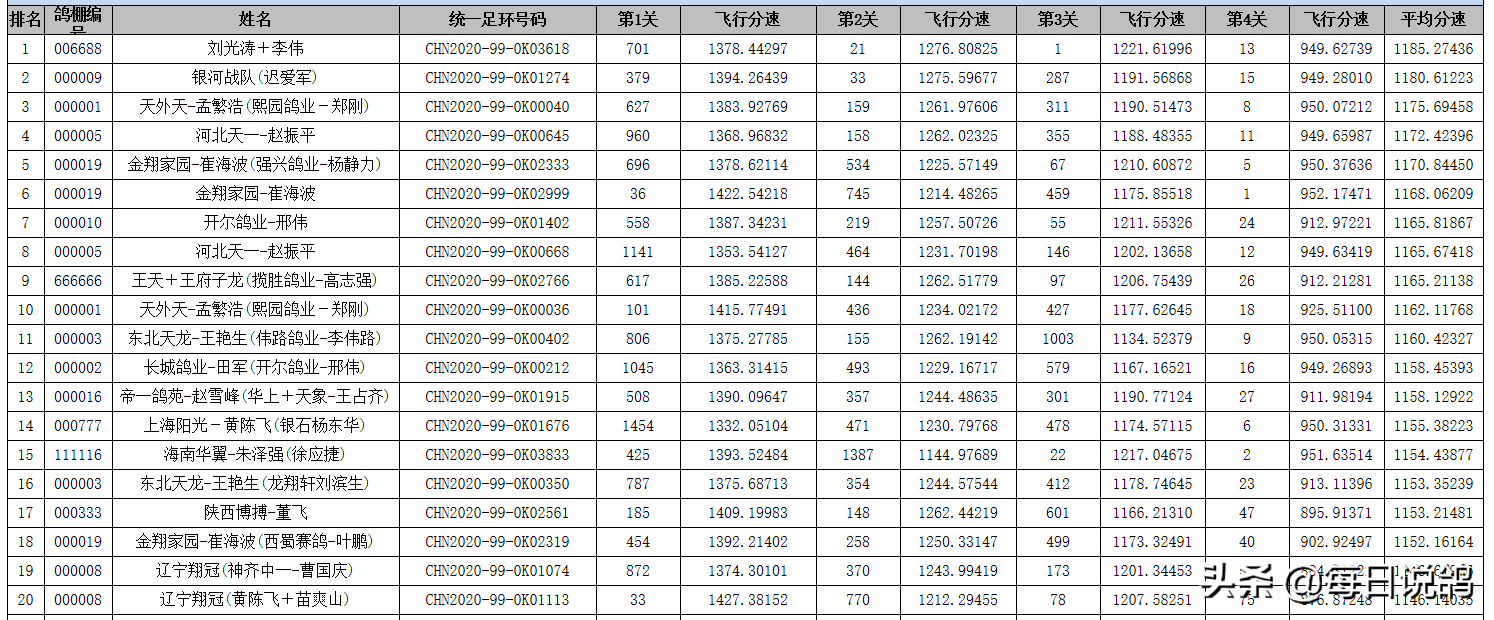 唐山阳光寄养棚世界杯(劳斯莱斯、宾利，赢得唐山阳光综合鸽王冠军，仅10枚环)