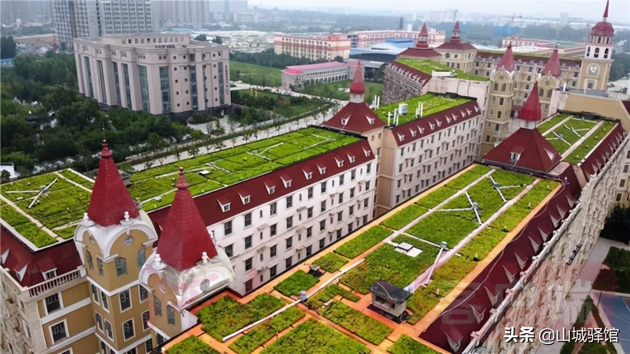 重庆一小学楼顶种14000株向日葵，盘点别人家学校的花式楼顶风光