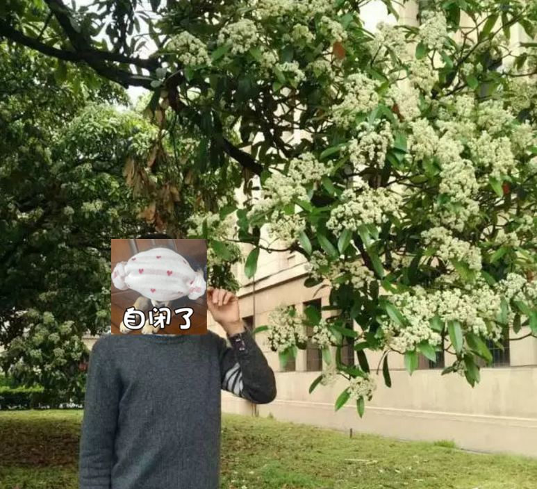 武汉有哪些知名大学？看完想重新再读一次