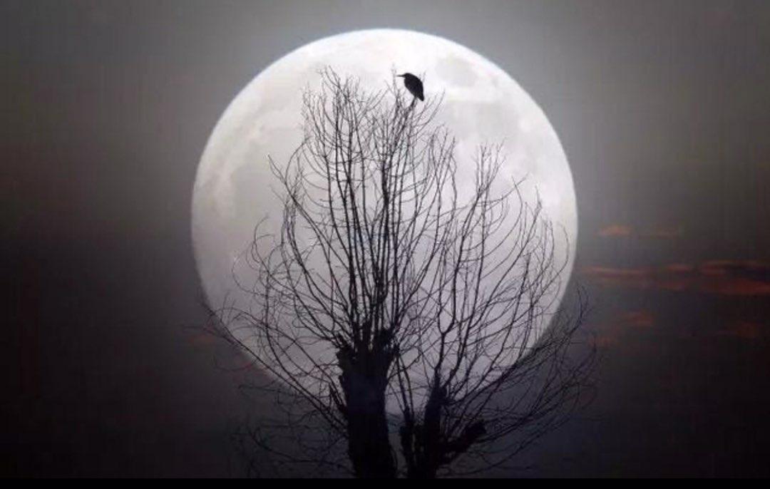 关于闭门思过的说说(闭门思过朋友圈说说) _晶羽文学网