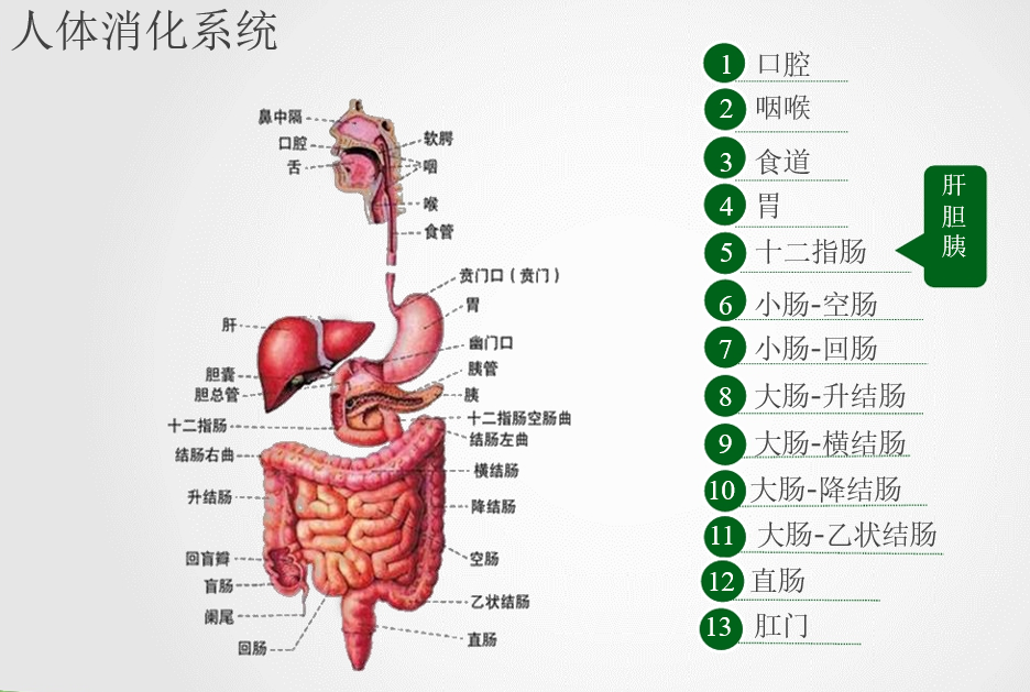 宇航员在太空有性需求吗宇航员在太空怎么解决生理需求