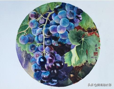 晶莹剔透、颗颗动人，水彩葡萄，真的太诱人了！