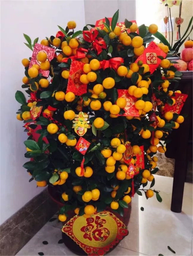 Ǯ˼ҵĿʲôԲ10ֲӦ