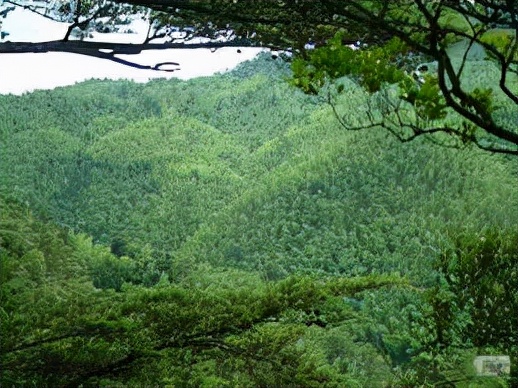 悍匪刘进荣：越战侦察兵，复员后杀人当土匪，最终身中40多枪而亡