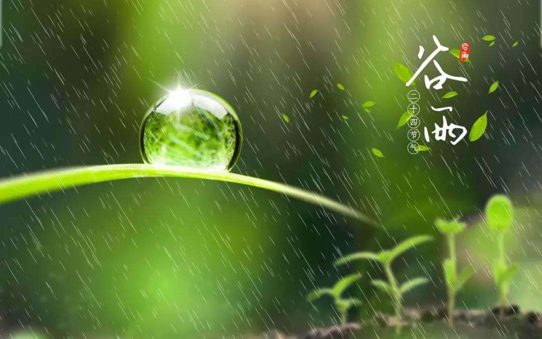 谷雨：愿有春雨润你身，愿有良人慰你心