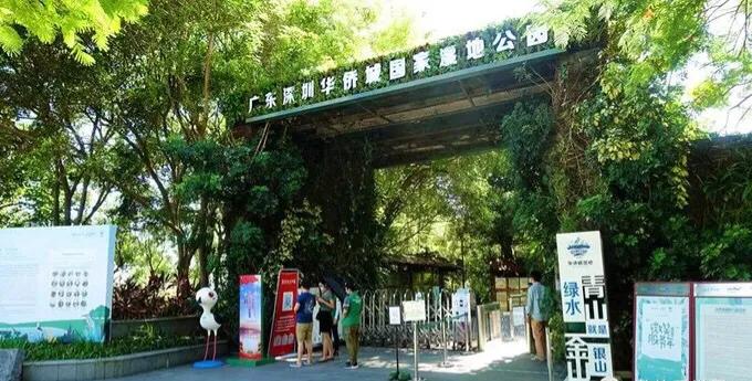 深圳十大免费特色的湖泊公园