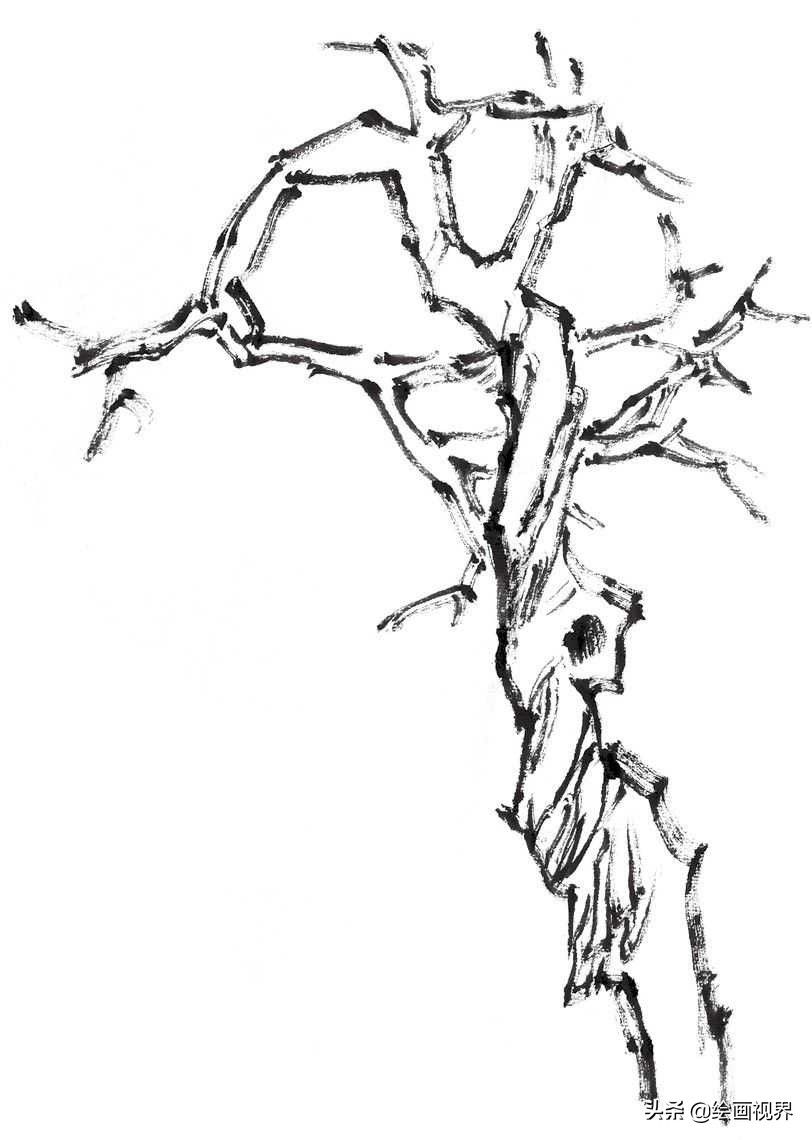 怎么画树(画国画树不会画)