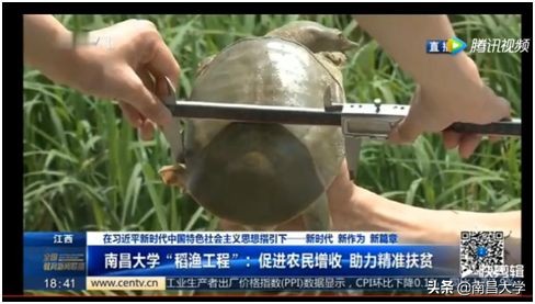 我们的2019 | 走进生命科学学院、玛丽女王学院、管理学院、基础医学院、工会、保卫处