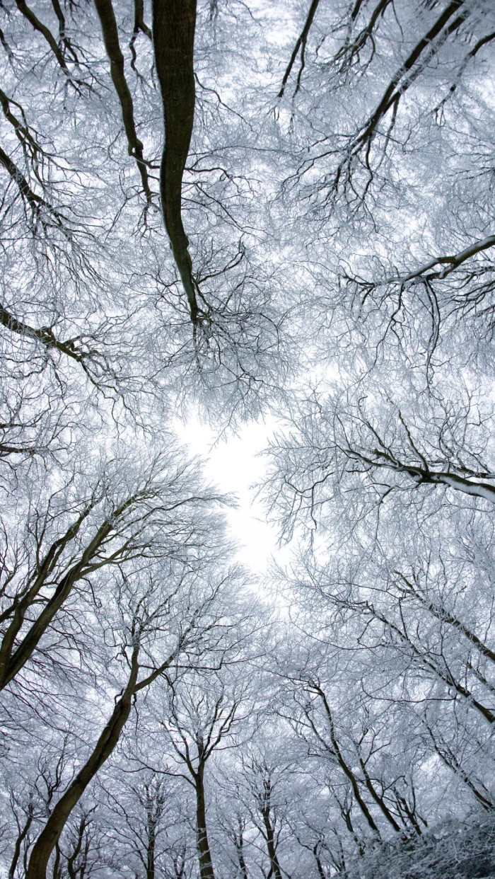 散文：心有阳光，必有诗与远方；心中有暖，何惧人生苍凉