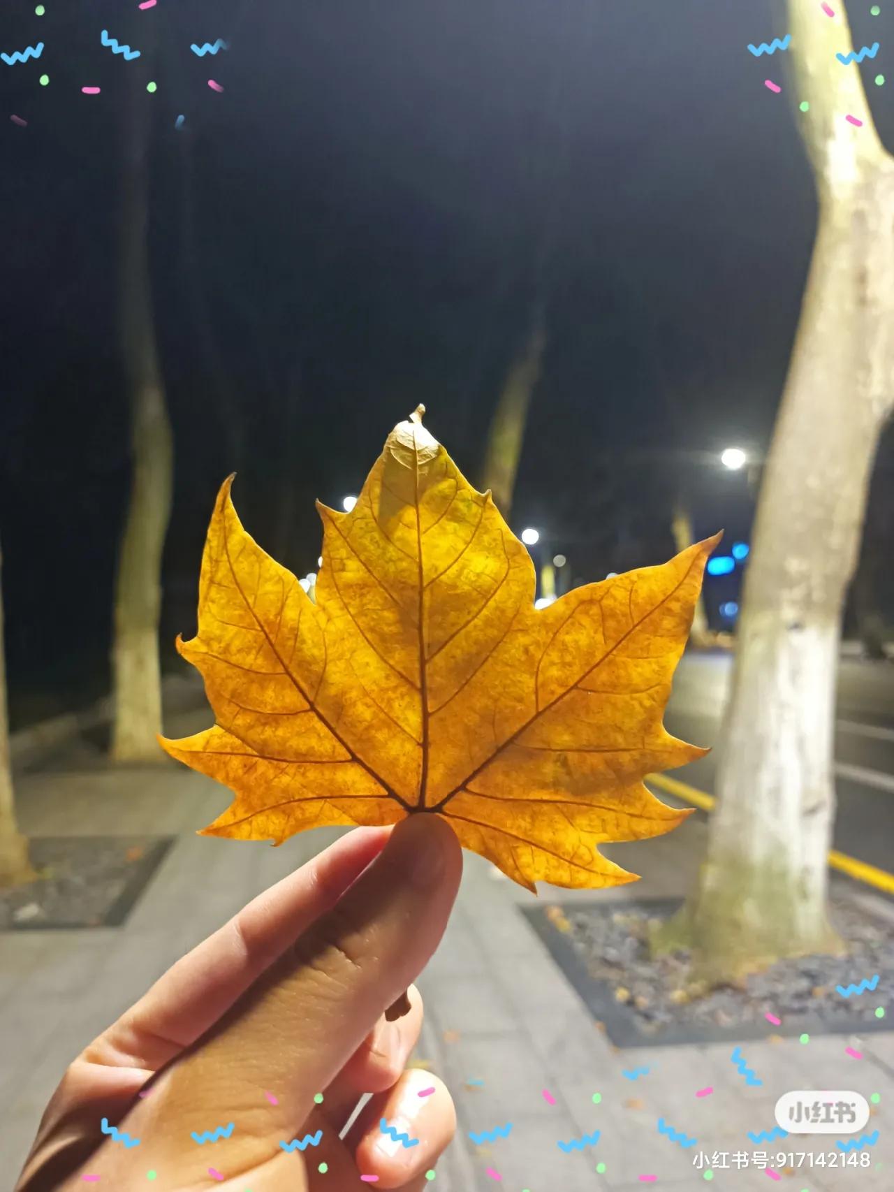 写作技巧：作为自媒体人，你应该知道写出爆款文章的3个方法