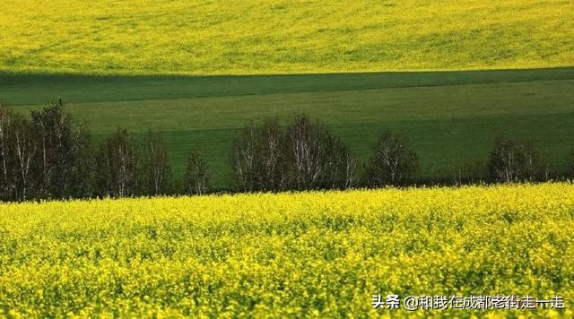 四川教育学院美术系（1985—2004年）系友名单火热收集中