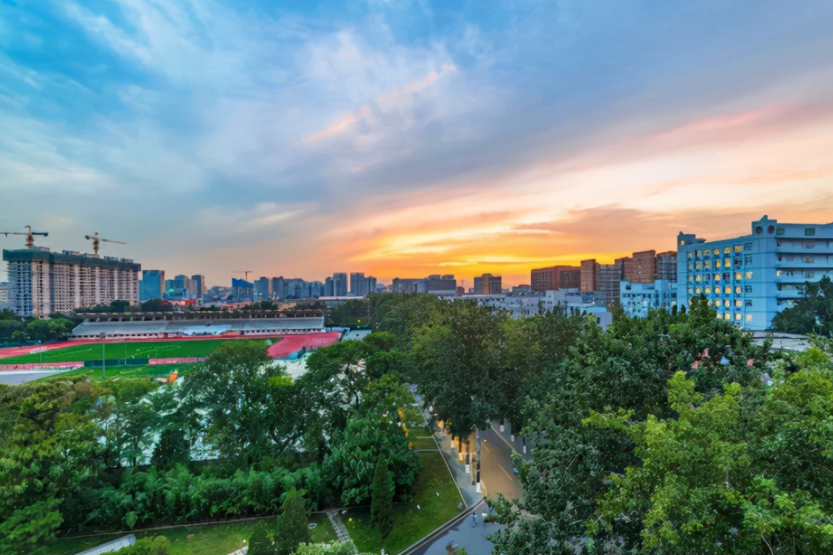 這所獨立學院是由復旦大學和中國太平洋保險股份有限公司共同創辦的