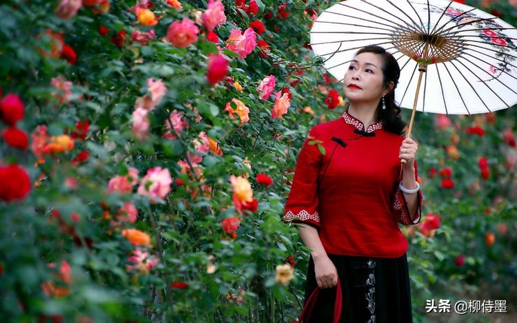 优雅风情阿姨照，如何拍摄才好？中老年女性参考5个摄影技巧