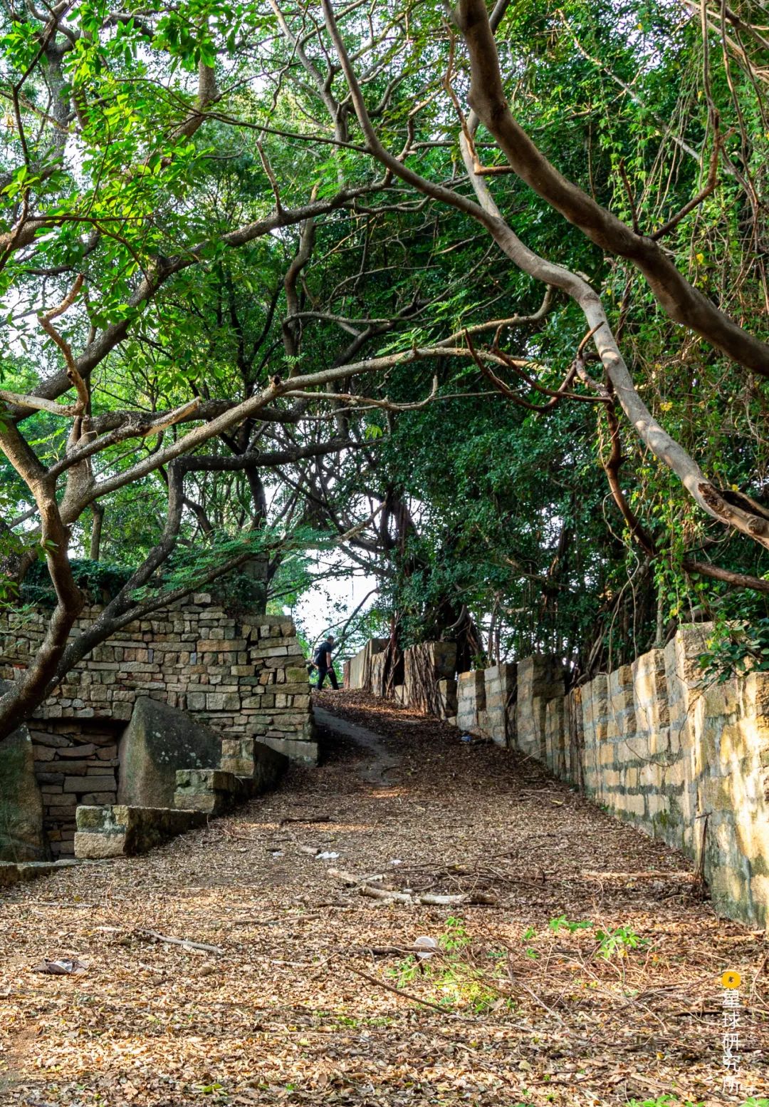 厦门：中国人的海上花园