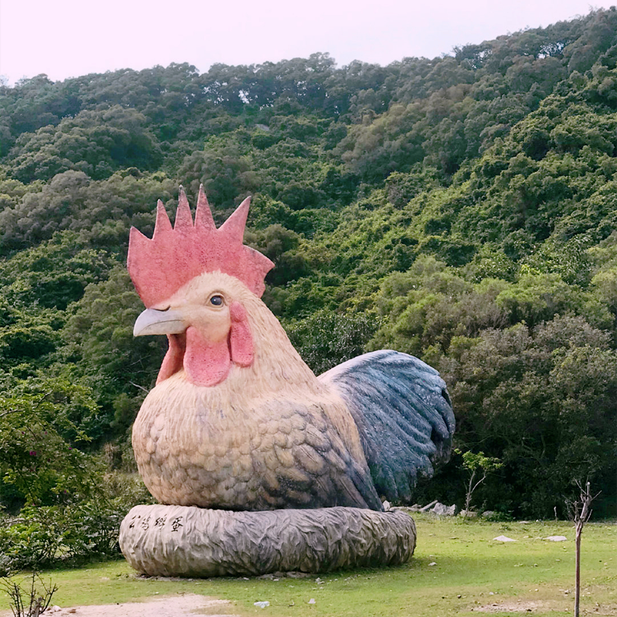 茂名放鸡岛好玩吗(广东"放鸡岛",被名字耽误的景点,景色绝美却鲜有人