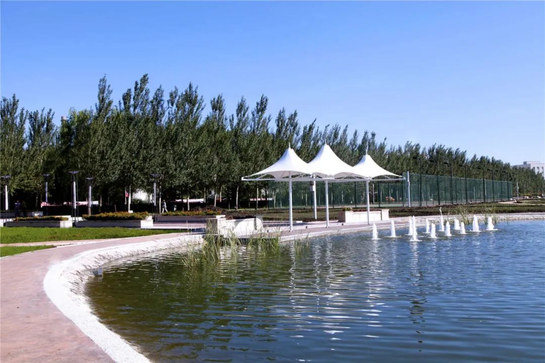 新区高校集结 | 网络铸魂 数字德育，走进黑龙江财经学院！