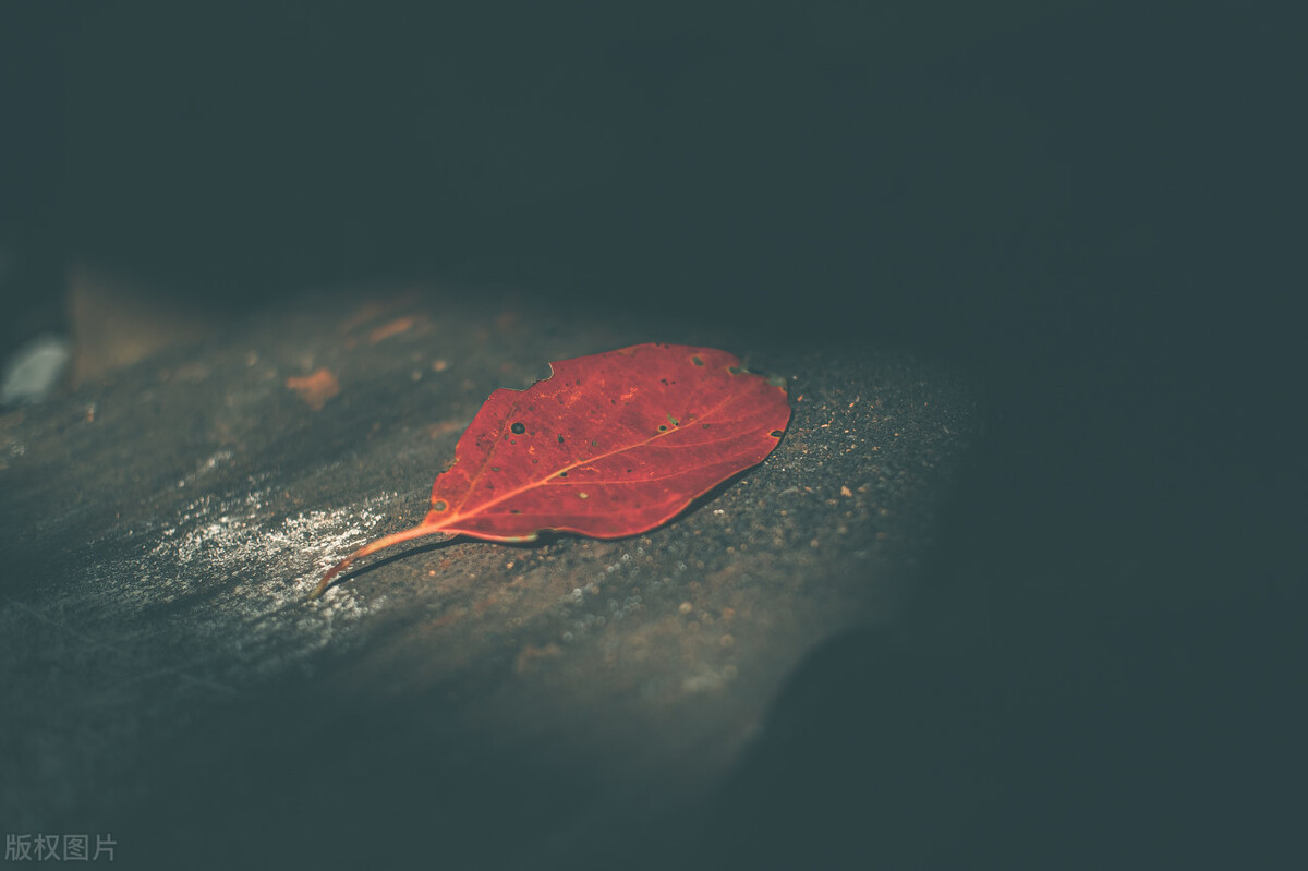 生命的中心在於心靈，心靈打開，萬物和諧，心靈封閉，萬物不長