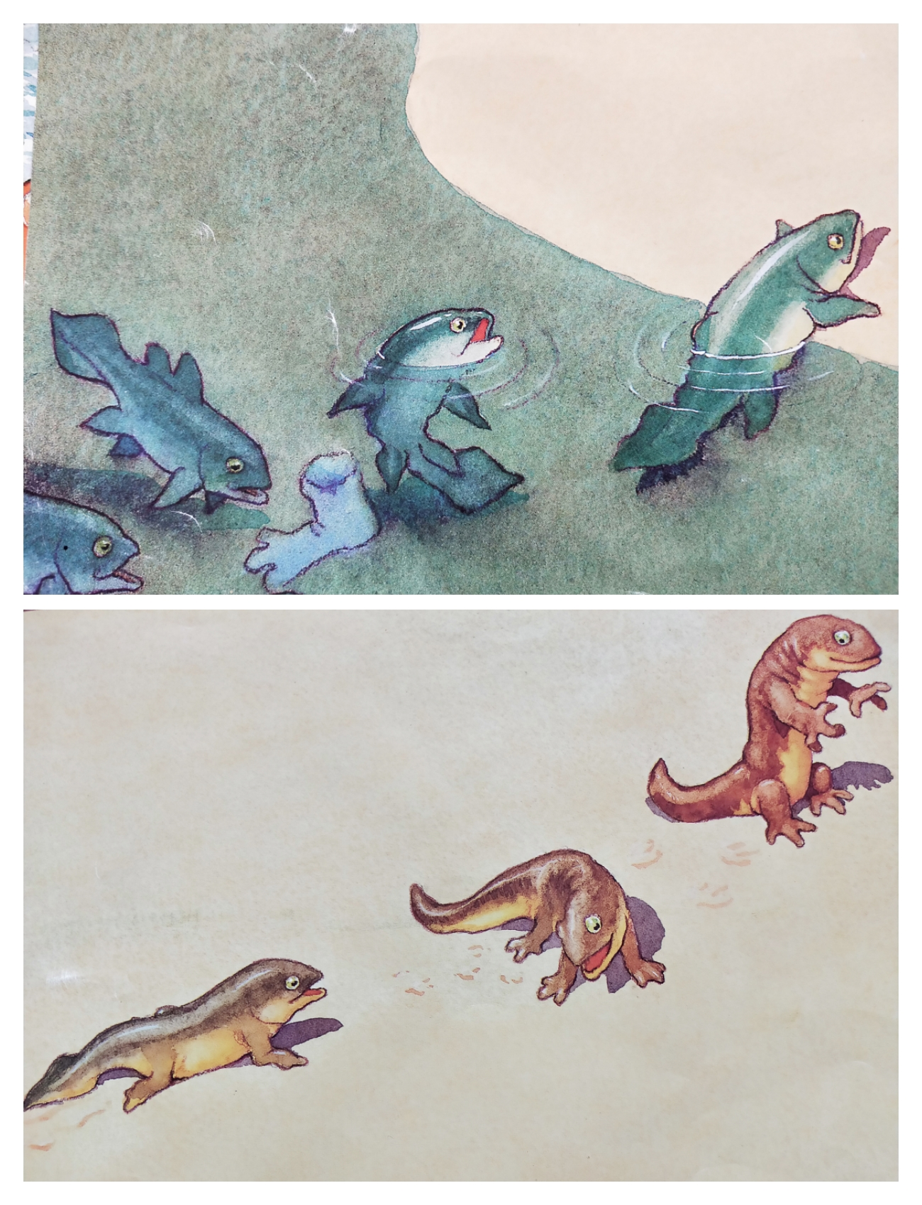 细节中见高低，《一条聪明的鱼》：告诉孩子追梦的脚步，不该停