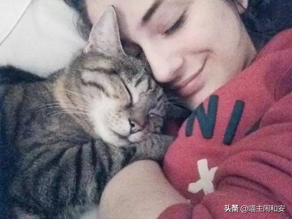 猫眼睛红肿眼屎增多是眼部炎症？及时确诊，有可能是眼线虫惹的祸