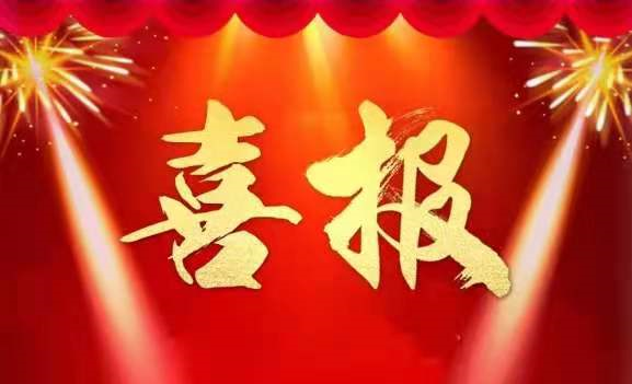 衡水第一中学邯郸分校2021届高考成绩如何？