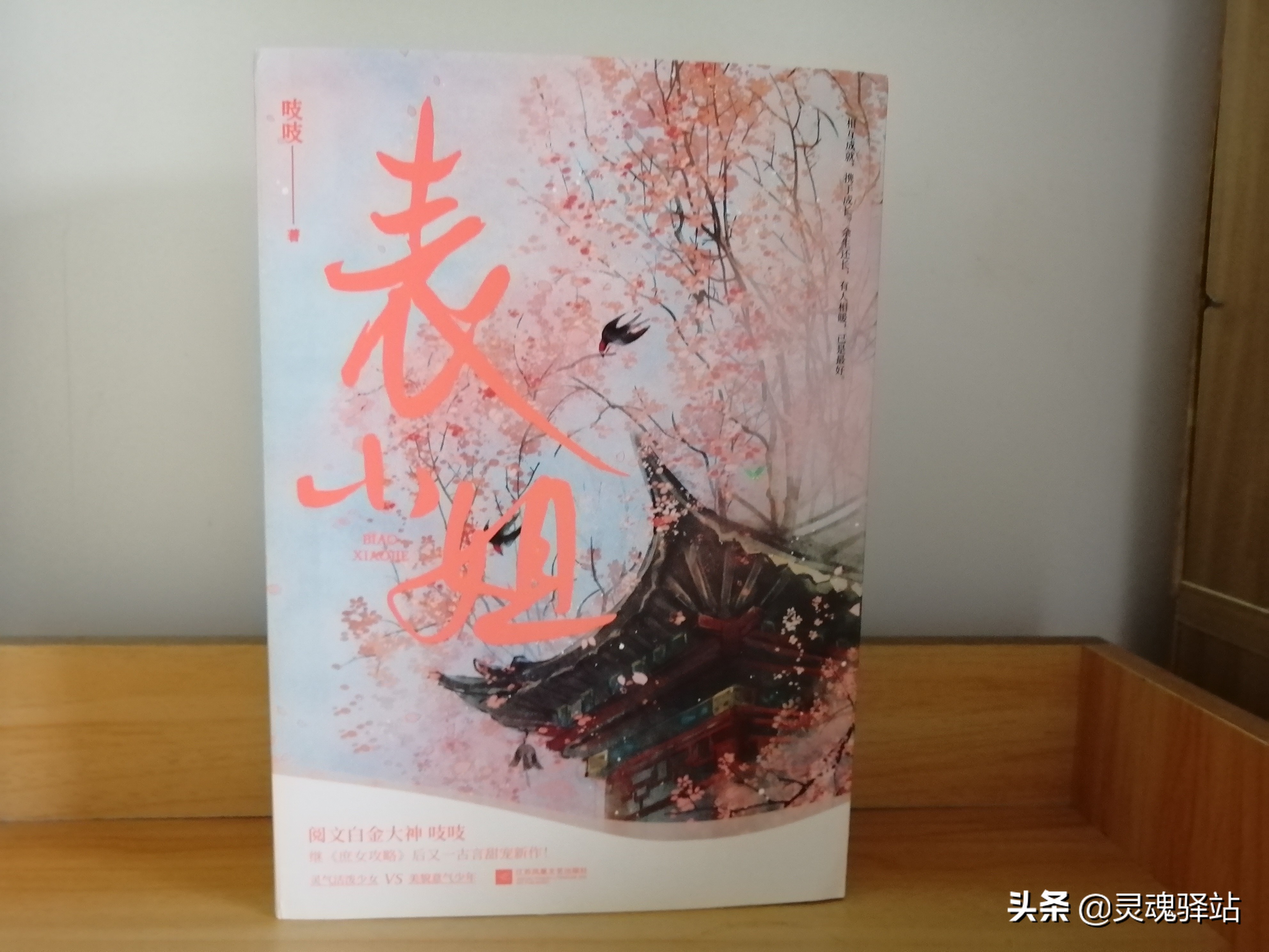 《表小姐》——世间最温暖的事莫过于你寂寥时有惦念你的人