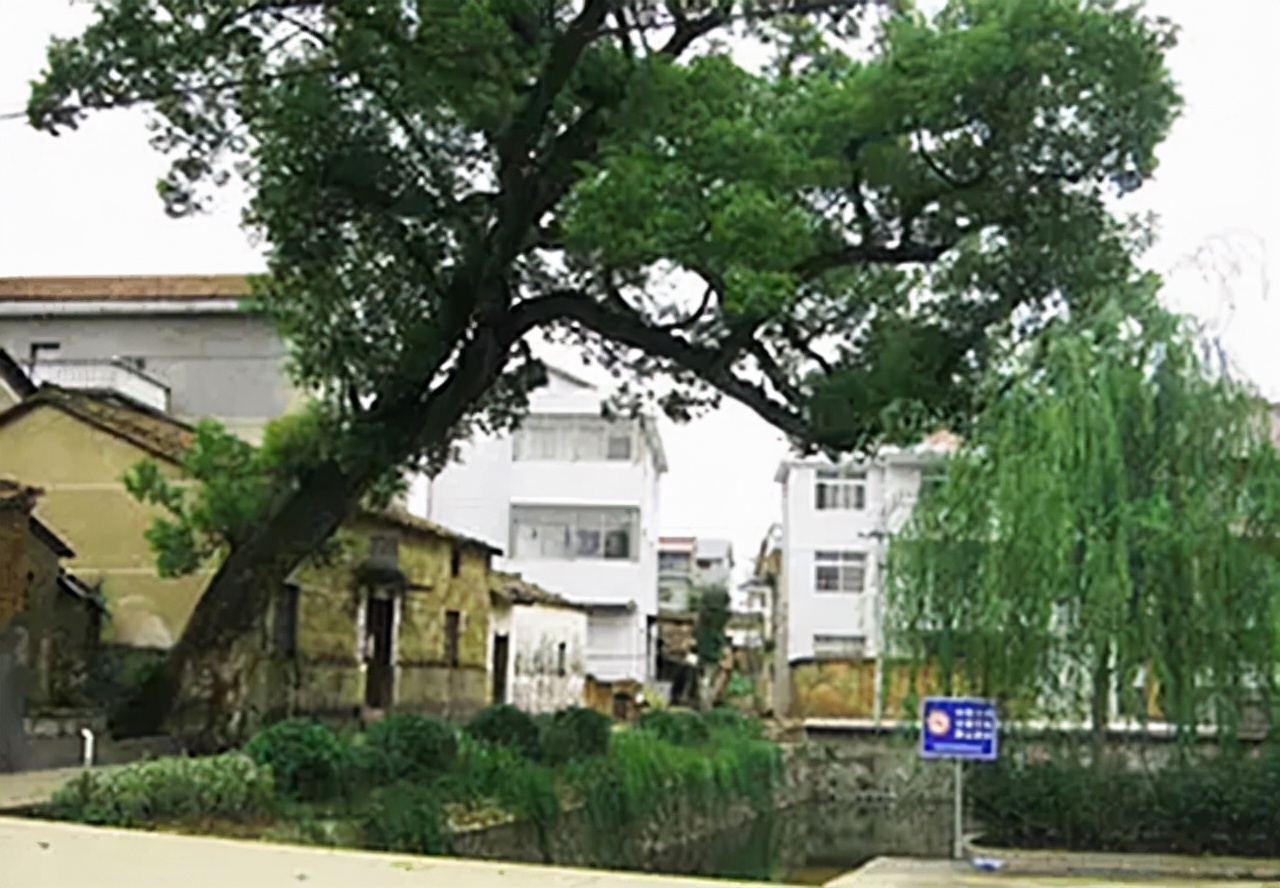 20岁兵哥哥救火牺牲，追思会万人自发送行，如今失独夫妻收获一女