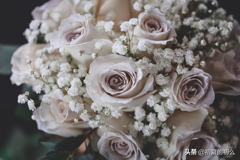 古风伤感句子 | 几段唏嘘、几世悲欢，可笑，我命由我不由天