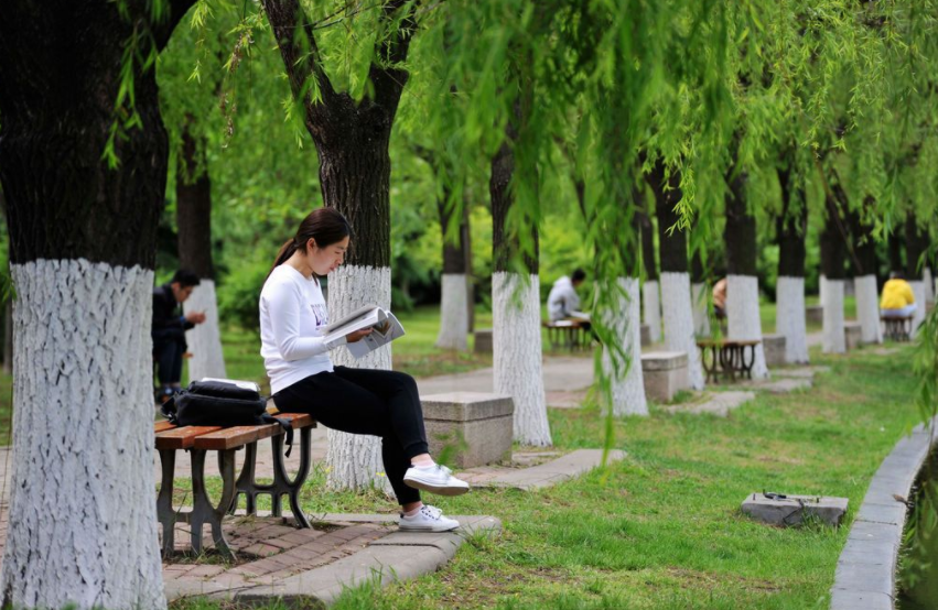 大一学生不能报考英语四级，新生困惑不已，学长们道出实情