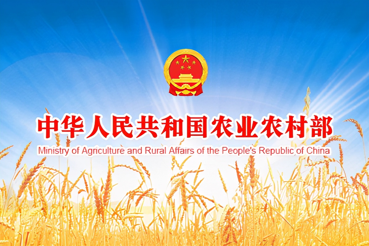 发挥龙头企业引领作用 夯实乡村振兴产业根基