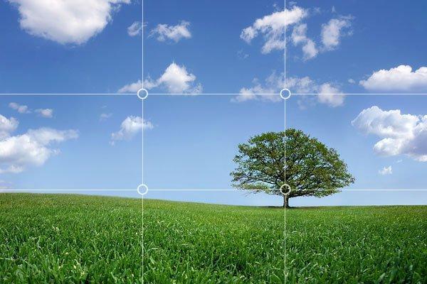 如何用手机拍摄惊艳全景照片呢?学会这些小技巧很重要