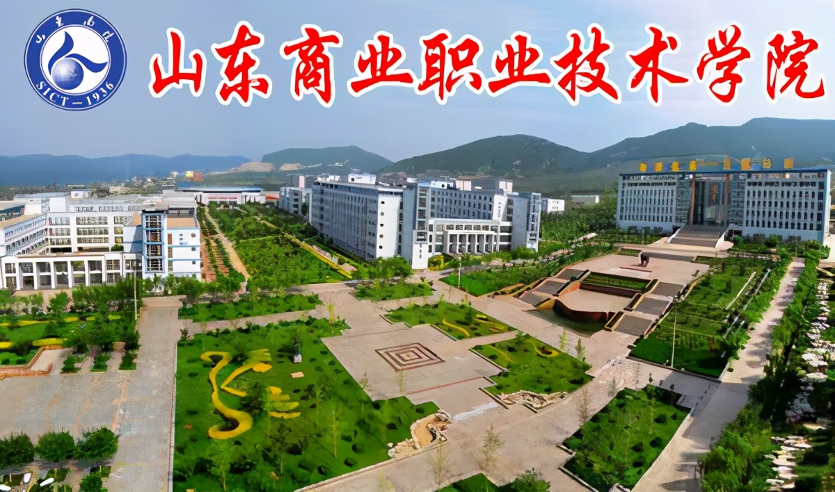 山东2021职业技术大学排名