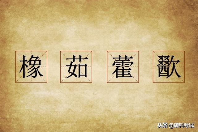 见过同学复杂的名字，有没有见过难念的成语
