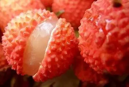 李子是凉性还是热性（最全水果手册赶紧收藏）