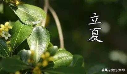 立夏快乐，立夏节气祝福图片带字，立夏图片带问候语精选