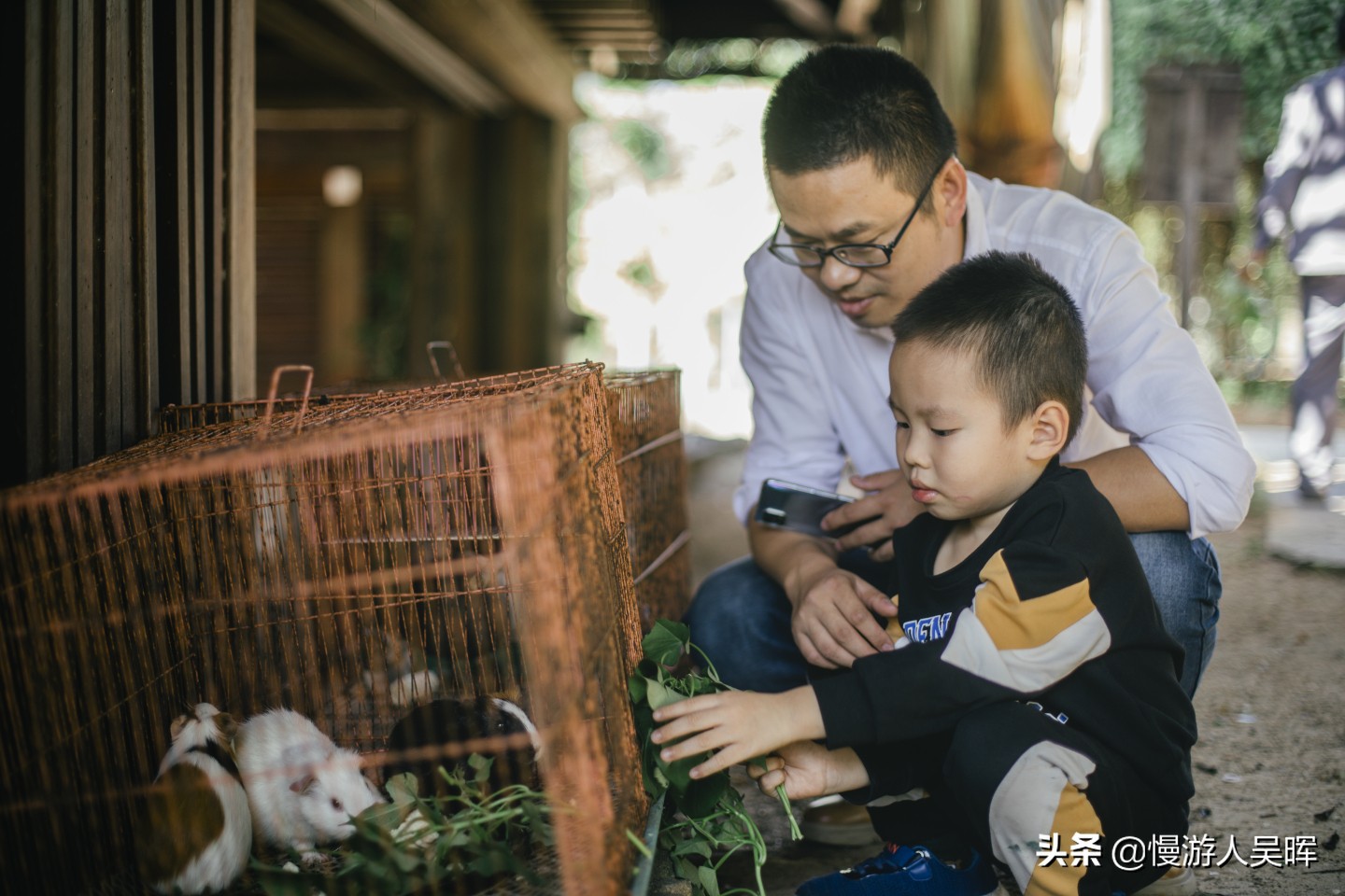 2021元旦三亚旅游丨住宿游玩美食购物实用指南