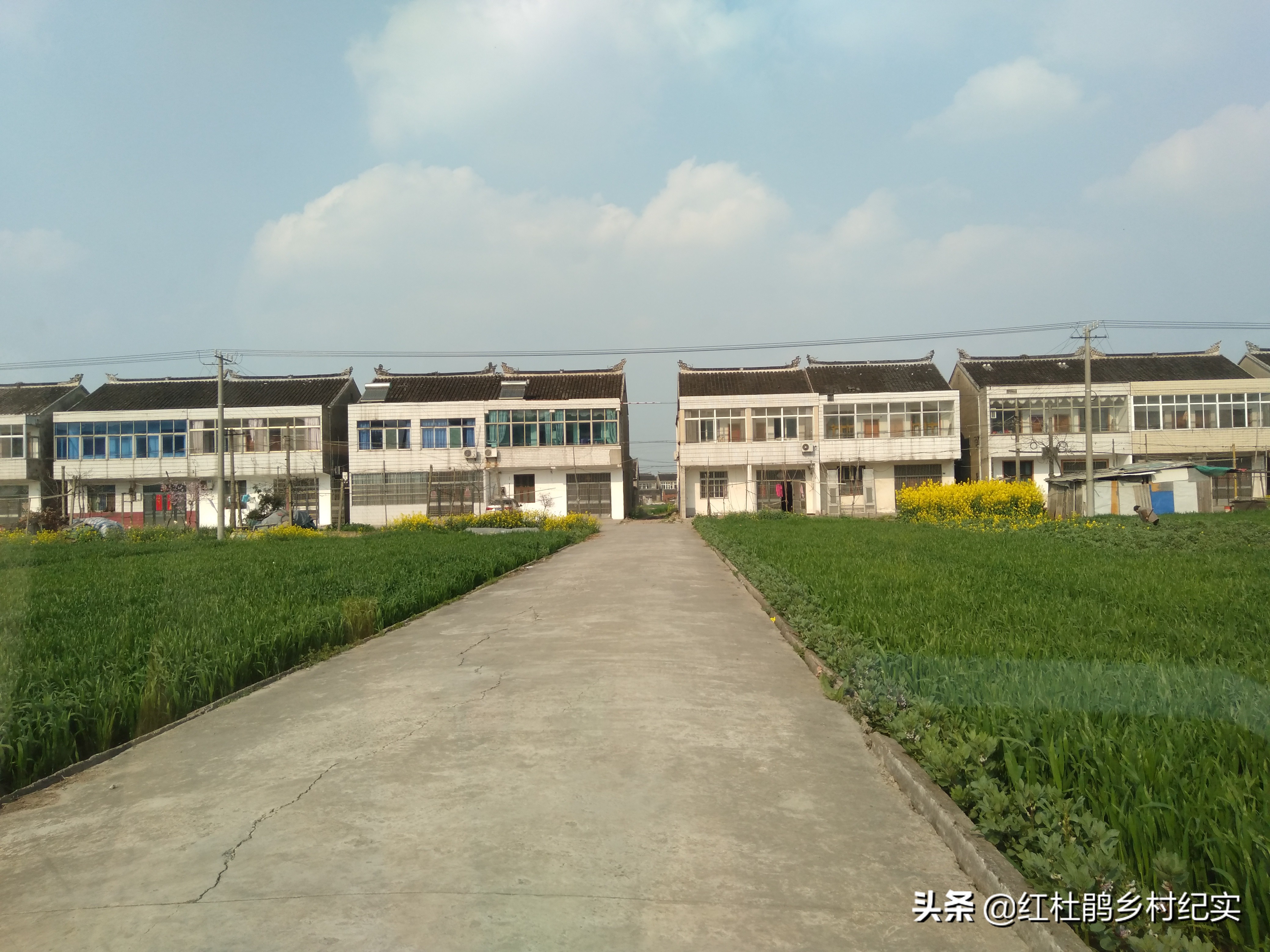 实拍苏中某村24年前的统建房，全村1排2户1栋，现在处于尴尬地位