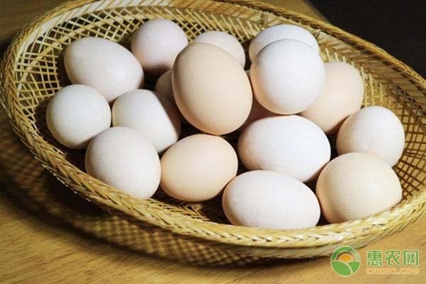 山东鸡蛋价格创年内新低是什么原因？附鸡蛋最新价格行情